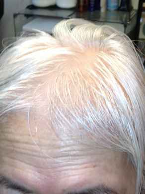 לפני השלמת שיער